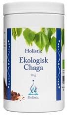 Chaga - Sprängticka - mot inflammation och infektion